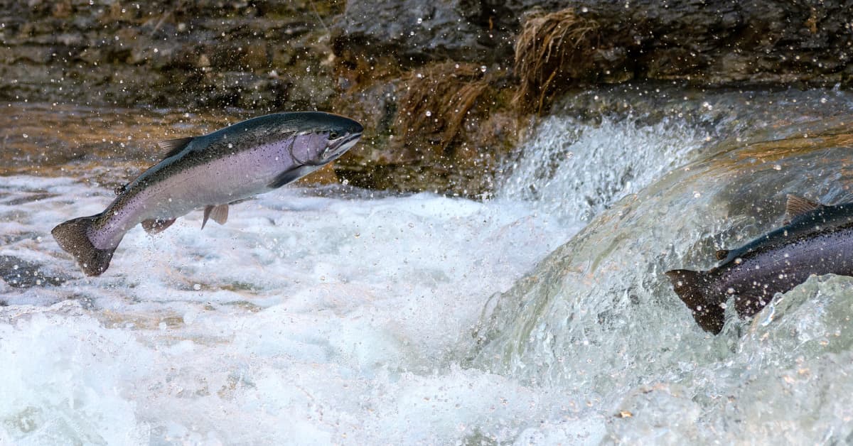 Upstream Feature Management será o novo padrão na indústria metalúrgica